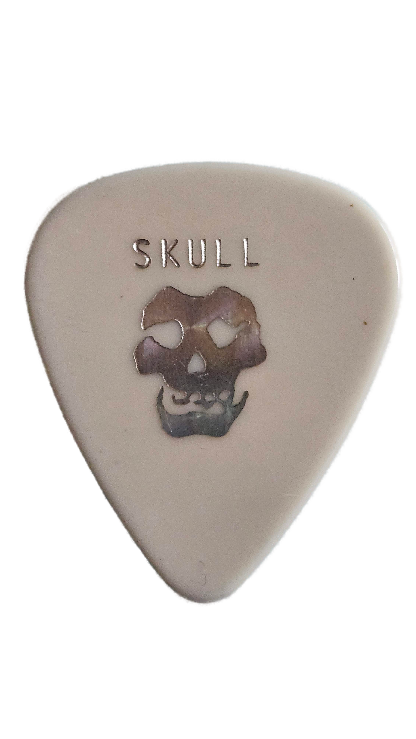 Distortion or Death Skull Guitar Pick — Used/Played