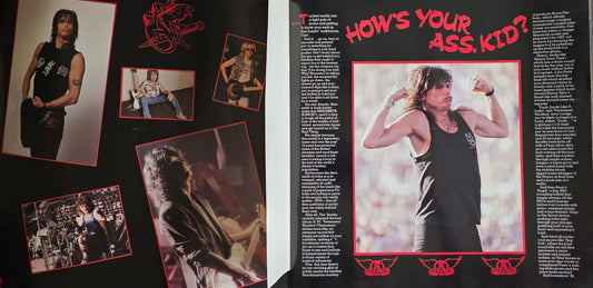 Aerosmith Permanent Vacation Tour Program - 1987-1988