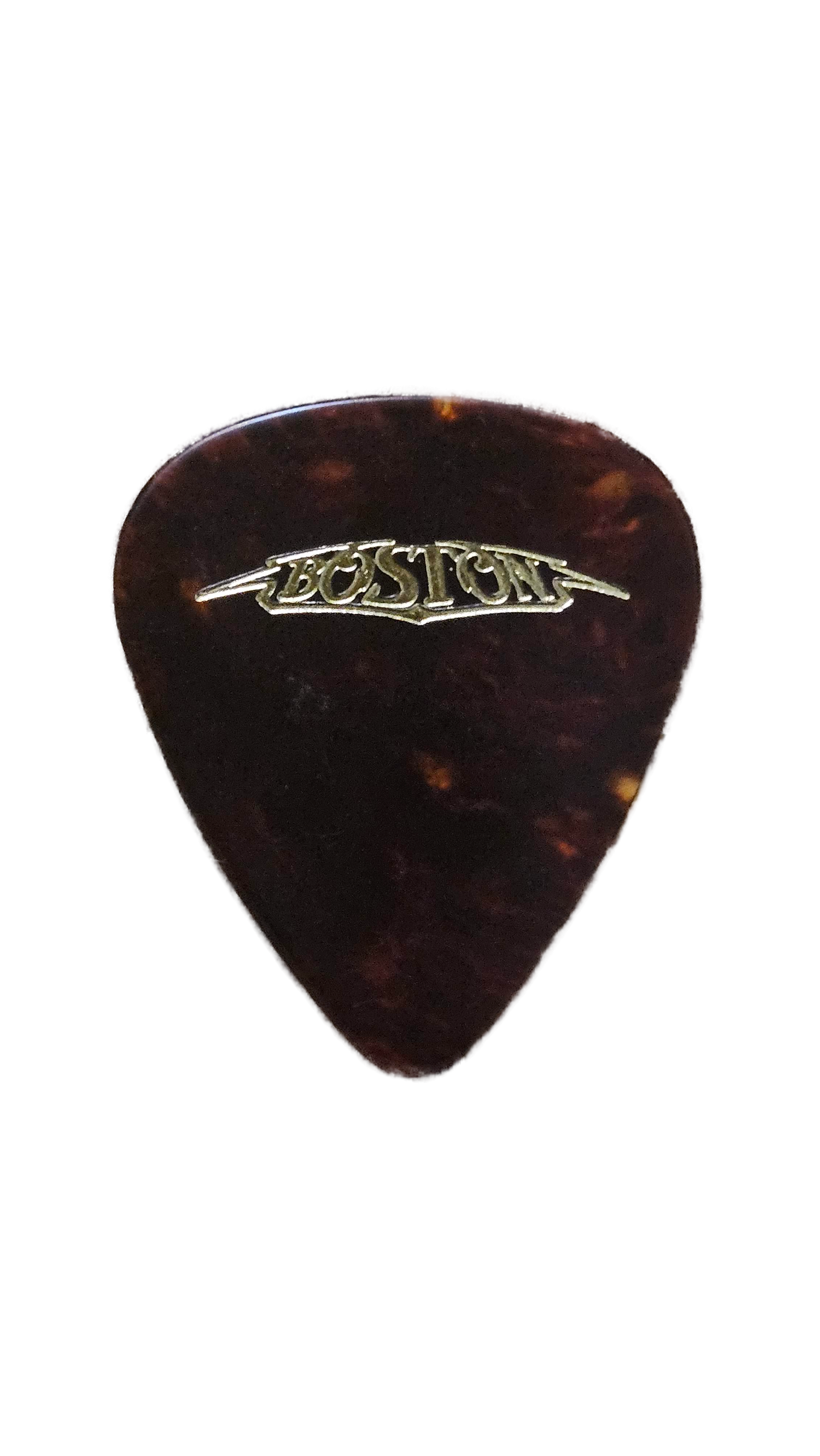 Boston Tortoise Guitar Pick — Used/Played