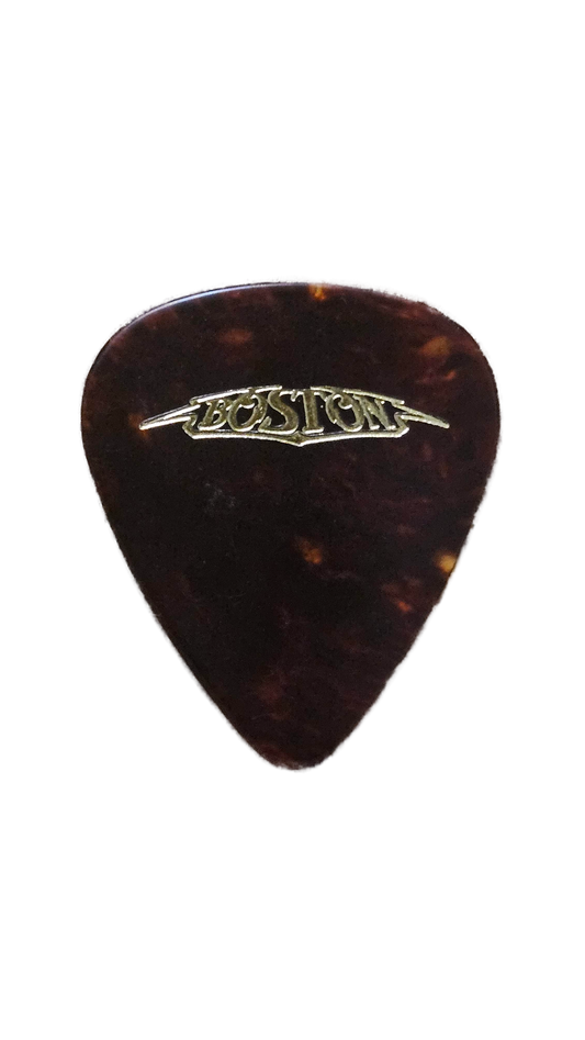 Boston Tortoise Guitar Pick — Used/Played