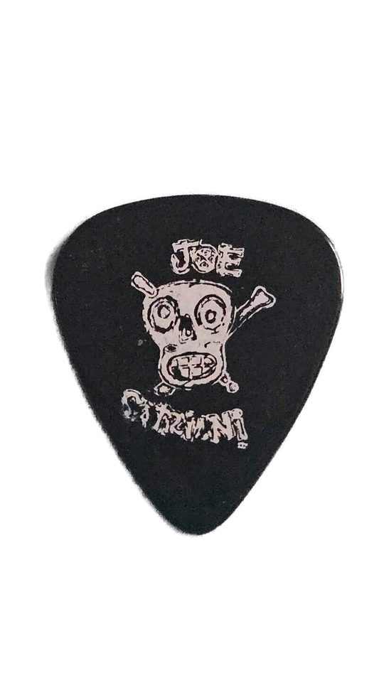 Joe Satriani Guitar Pick — Skull Design with Signature