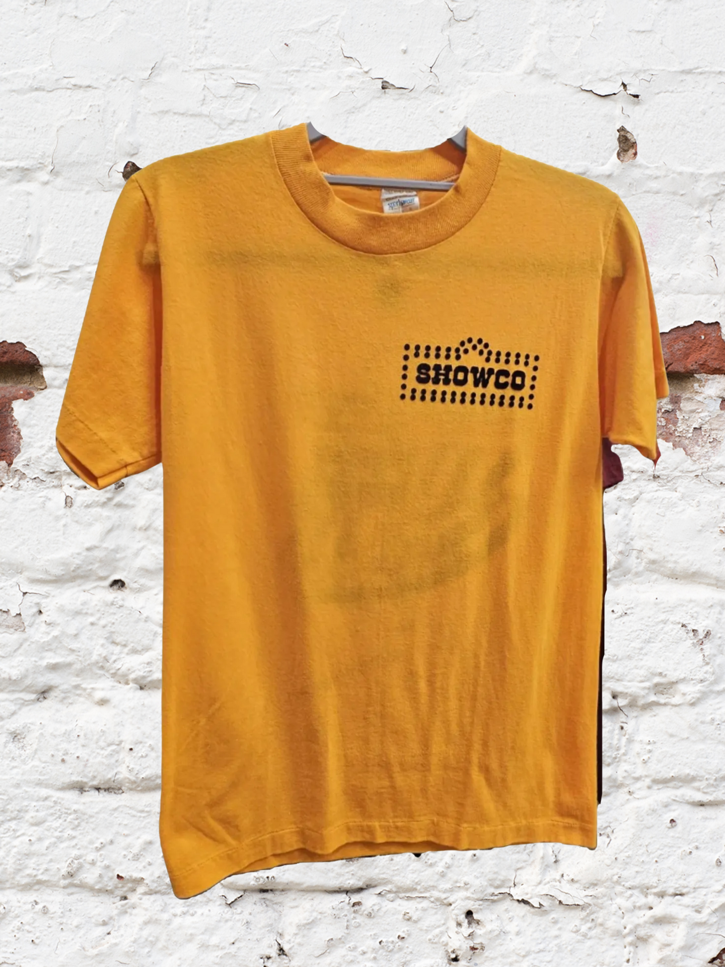 SHOWCO - The Beach Boys - 1983