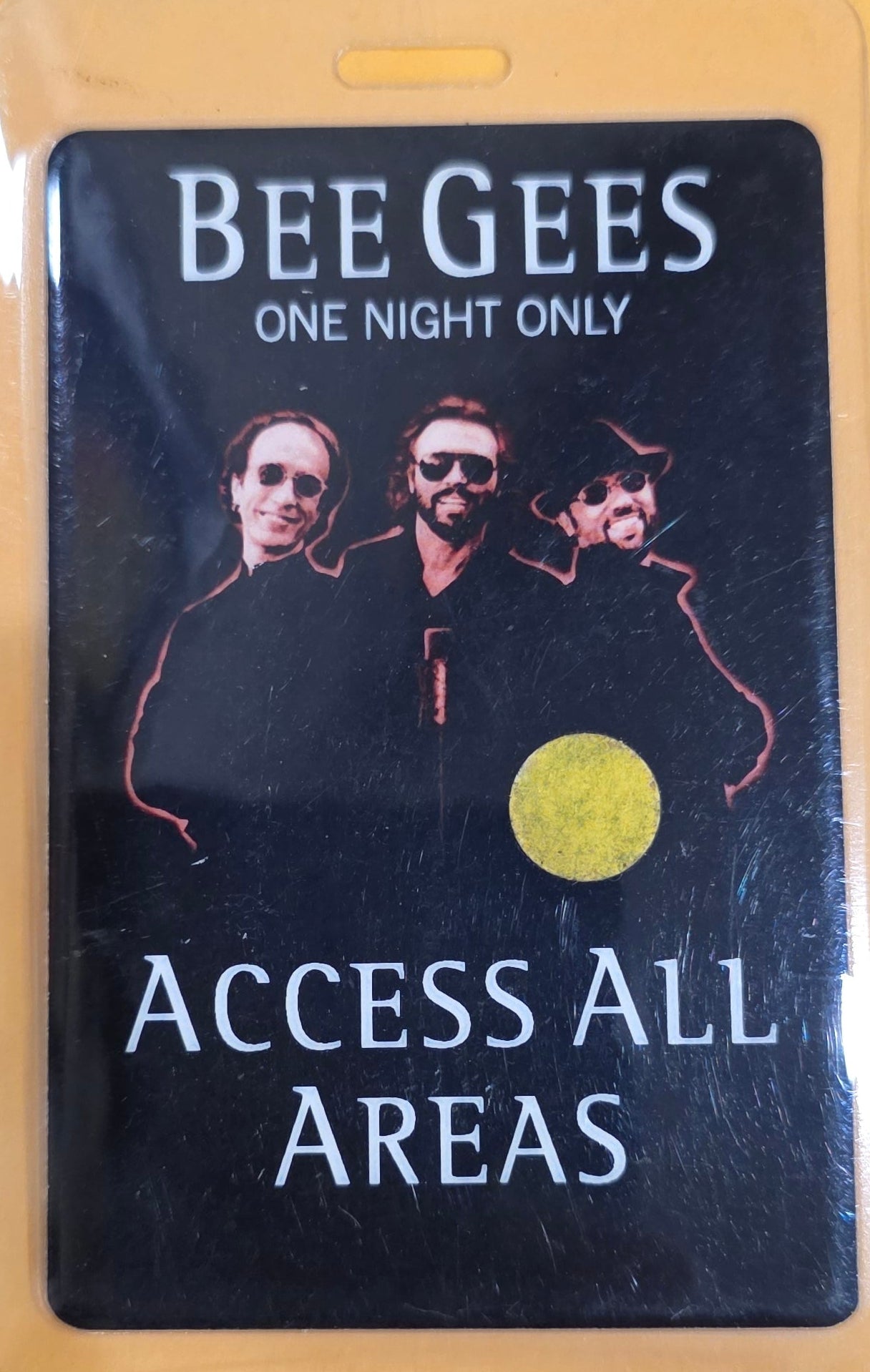 Bee Gees – One Night Only Access All Areas Laminate | Johnny "JW" Roberts Closet