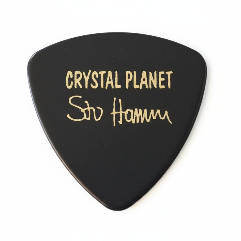 Fender Guitar Pick — Crystal Planet Stu Hamm