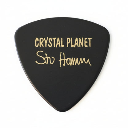 Fender Guitar Pick — Crystal Planet Stu Hamm