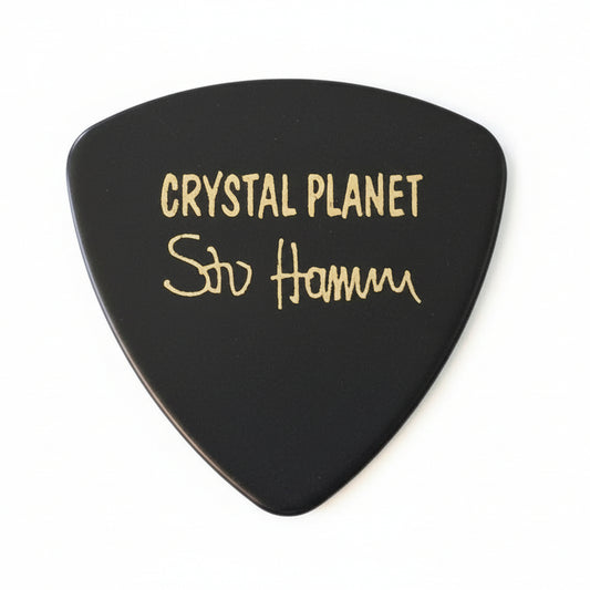 Fender Guitar Pick — Crystal Planet Stu Hamm