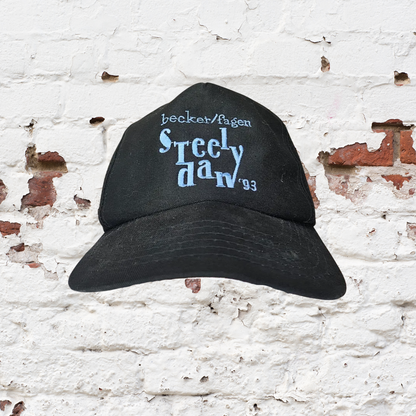 Steely Dan 1993 becker/fagen Baseball Cap